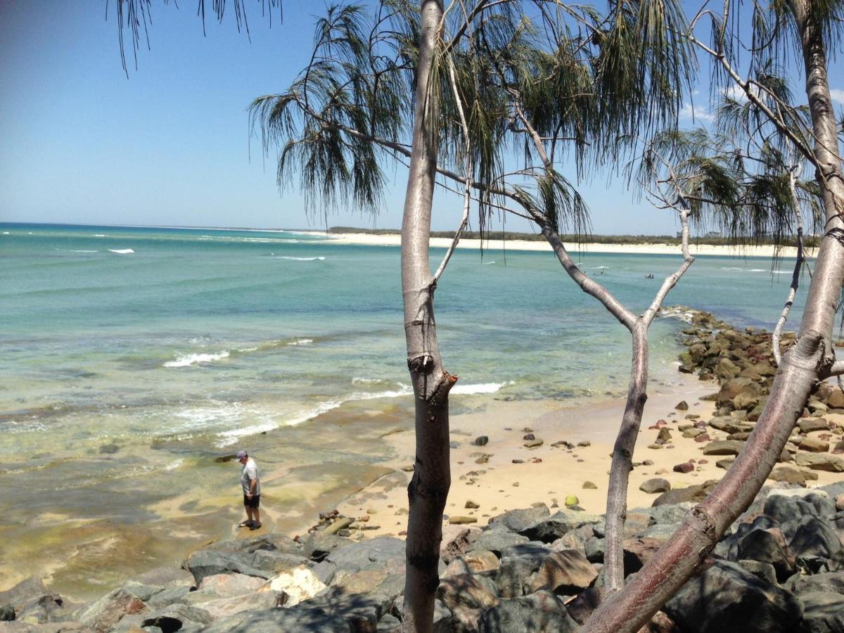 Xyl Pets Friendly Opened Spacious Seaside Boutique Guesthouse Caloundra Exterior photo